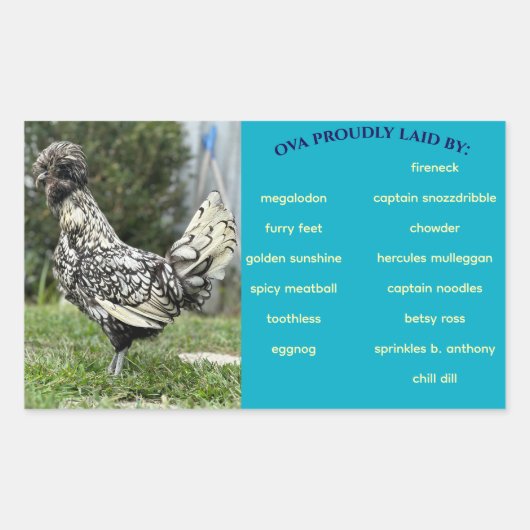 Egg Carton Label 長方形シール (正面)