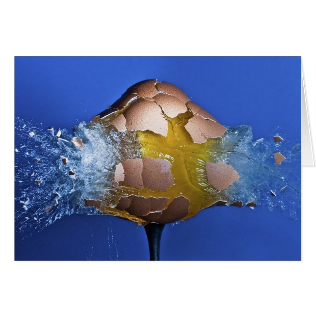 Eggceptional (正面横)