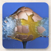 Eggceptional コースター (正面)