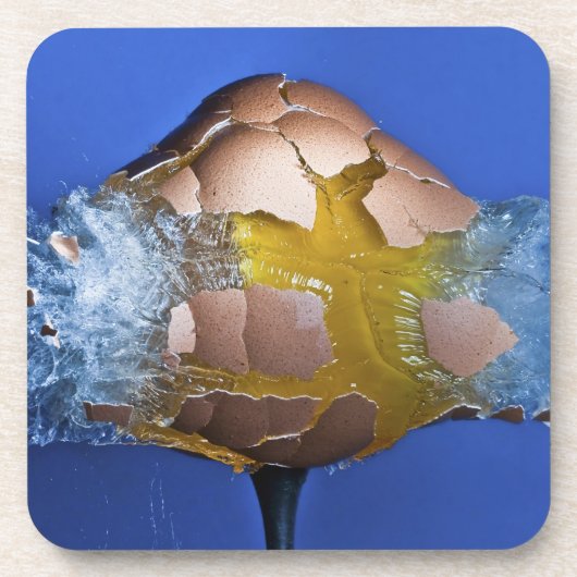 Eggceptional コースター (正面)