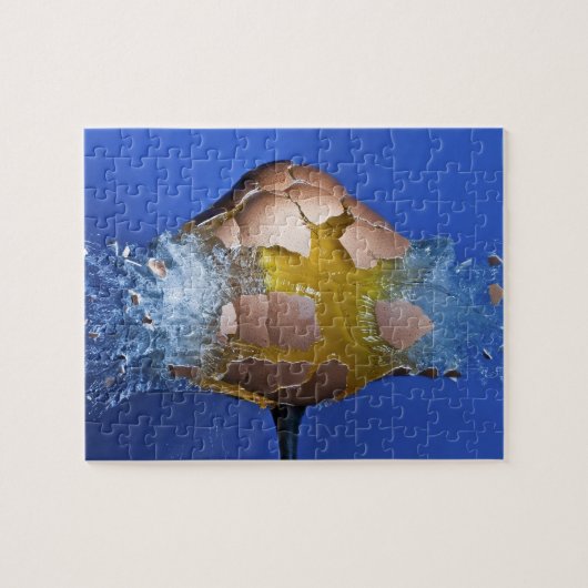 Eggceptional ジグソーパズル (横)