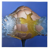 Eggceptional タイル (正面)