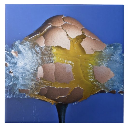 Eggceptional タイル (正面)