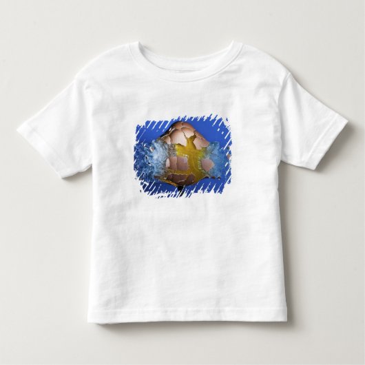 Eggceptional トドラーTシャツ (正面)
