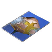 Eggceptional ノートブック (左側)