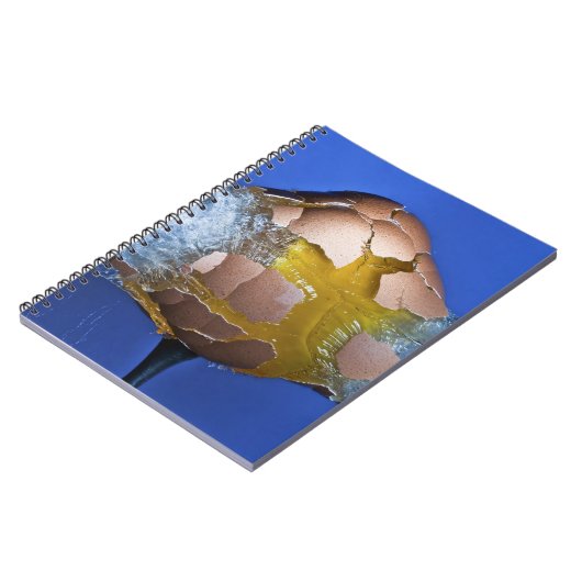 Eggceptional ノートブック (左側)