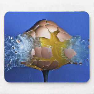 Eggceptional マウスパッド