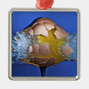 Eggceptional メタルオーナメント