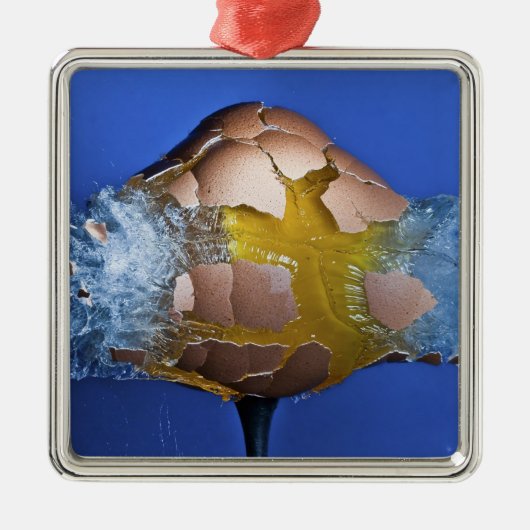 Eggceptional メタルオーナメント (正面)