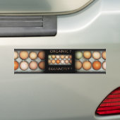 EGGSACTLY バンパーステッカー (車上)