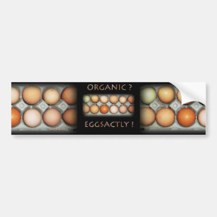 EGGSACTLY バンパーステッカー