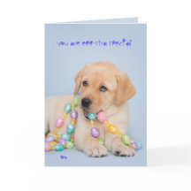 Eggstra特別で黄色いラブラドルの子犬イースター