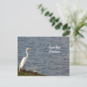 Egretはルイジアナ来に招待する ポストカード (スタンド正面)