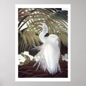 Egret and Palms ポスター (正面)