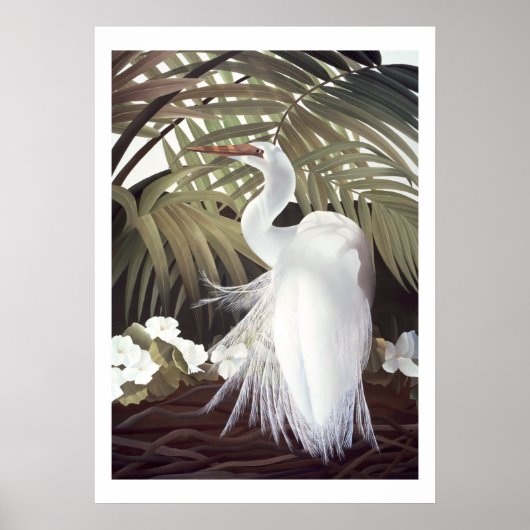 Egret and Palms ポスター (正面)