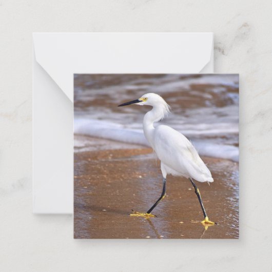 Egret at the Beach mini notecard set ノートカード (正面)