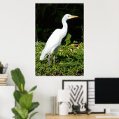 Egret Birdポスター ポスター (ホームオフィス)