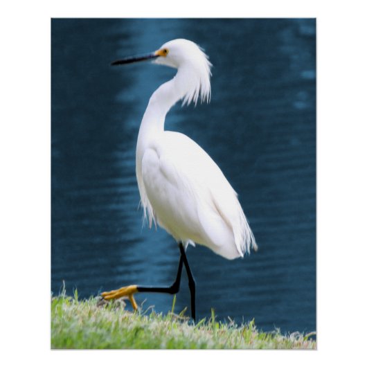Egret Bird Wall Art Minimalist Nature Coastal ポスター (正面)