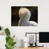 Egret Looking You Poster ポスター (ホームオフィス)