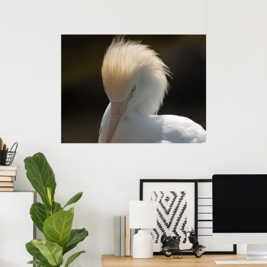 Egret Looking You Poster ポスター (ホームオフィス)