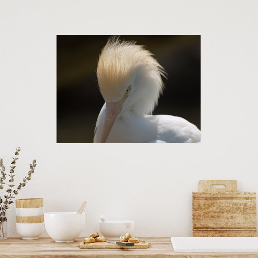 Egret Looking You Poster ポスター (キッチン)