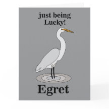 Egret Lucky Bird