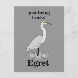Egret Lucky Bird ポストカード