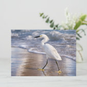 Egret on shoreline notecard (スタンド正面)