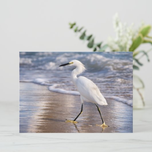 Egret on shoreline notecard (スタンド正面)