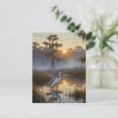 Egrets in Everglades National Park Morning ポストカード (スタンド正面)