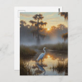 Egrets in Everglades National Park Morning ポストカード (正面/裏面)