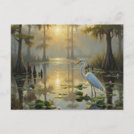 Egrets in Everglades National Park Morning ポストカード