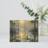 Egrets in Everglades National Park Morning ポストカード (スタンド正面)