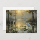 Egrets in Everglades National Park Morning ポストカード (正面/裏面)