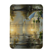 Egrets in Everglades National Park Morning マグネット (縦)