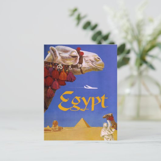 Egypt Camel ポストカード (スタンド正面)