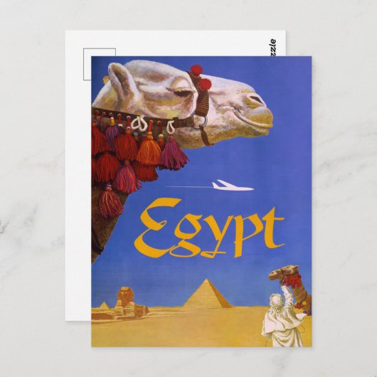 Egypt Camel ポストカード (正面/裏面)
