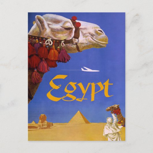 Egypt Camel ポストカード (正面)