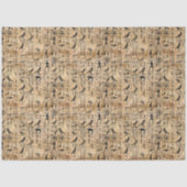 Egyptian hieroglyphics Birds Pattern 2 薄葉紙 (正面)