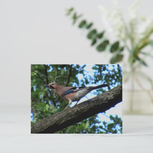 Eichelhäher ポストカード (スタンド正面)