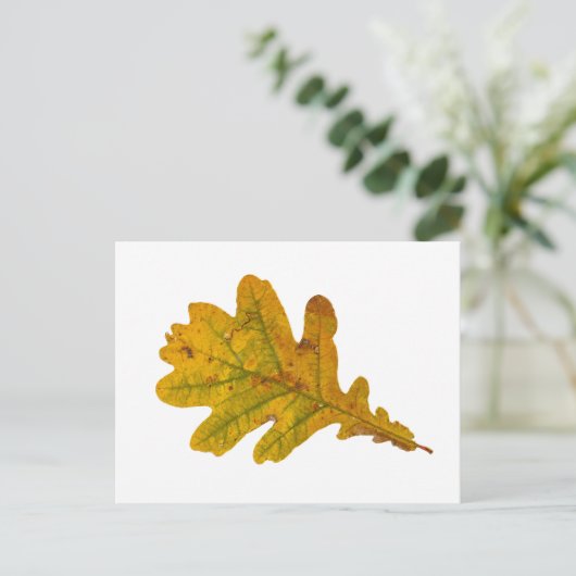 Eichenlaub im Herbst ポストカード (スタンド正面)