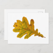 Eichenlaub im Herbst ポストカード (正面/裏面)