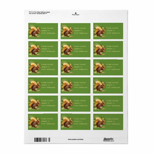 Eichhörnchen - grün | ラベル (フルシート)