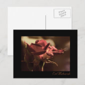 Eid Mubarak – 赤いバラの葉書 ポストカード (正面/裏面)