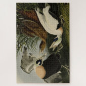 Eider Duck, Common Eider, Audubon Birds of America ジグソーパズル (縦)