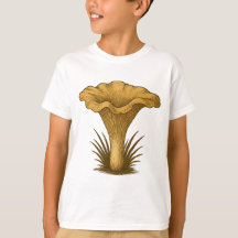 Eierschwammerl / Chanterelle