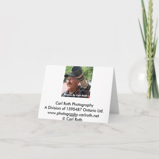 Eifelタワー カード (裏面)