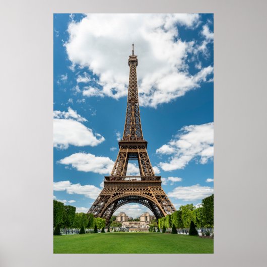 Eiffel Tower View from Champ de Mars Public Park ポスター (正面)
