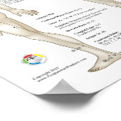 Eight Extra Acupuncture Extraordinary Meridians ポスター (角)