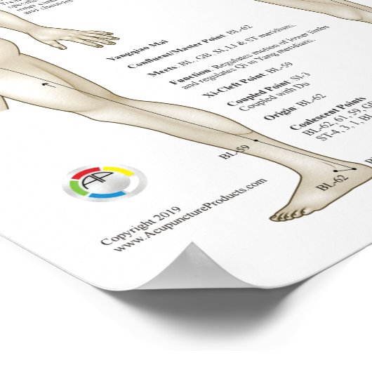 Eight Extra Acupuncture Extraordinary Meridians ポスター (角)